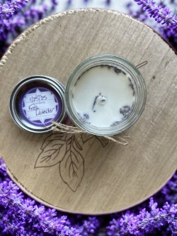 Fresh Lavender